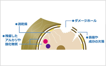 BEFORE ダメージヘア